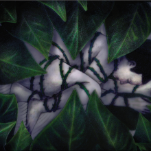 An illustration of a woman curled in the fetal position, partly covered by leaves that surround her as she is ensnared by green briar.