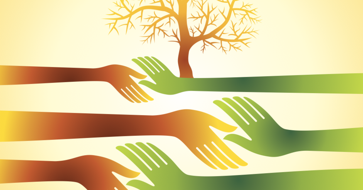 Giving Tree | Sojourners