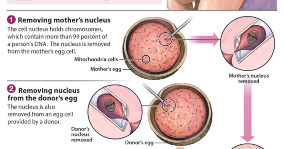 DNA Experiment Yields Great Promise, High Ethical Risks | Sojourners