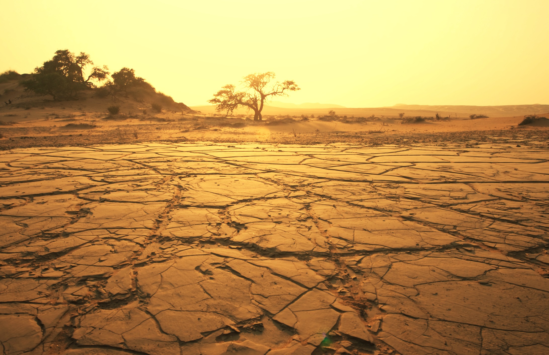 Планета земля пустыня. Почвы саванны в Африке. Тропические пустыни Африки почва. Высохшая пустыня. Пустынная земля.
