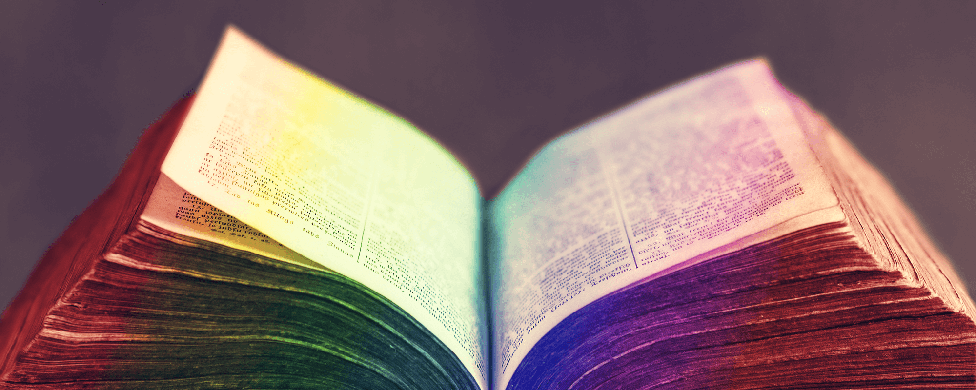 homosexuality in the bible