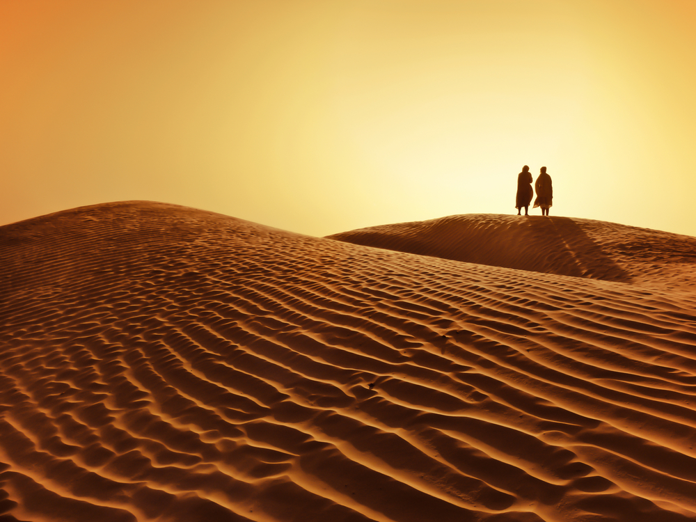 Learning to Walk in the Desert | Sojourners