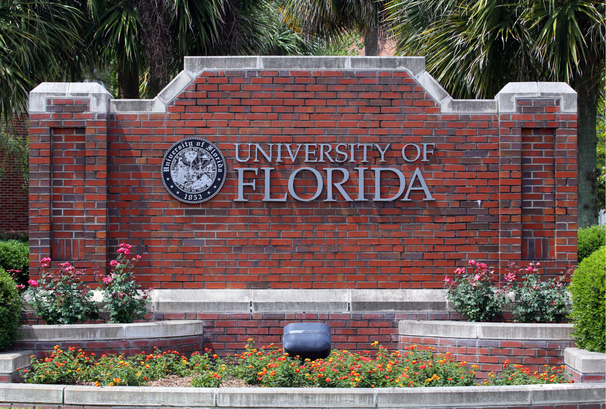 University of florida
