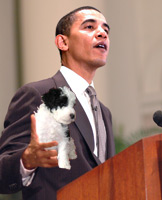 090401-barack-obama-portuguese-water-dog-puppy