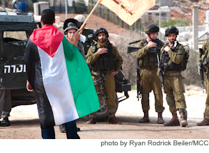 Palestinian Nonviolent Activism