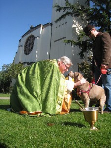 animal blessing