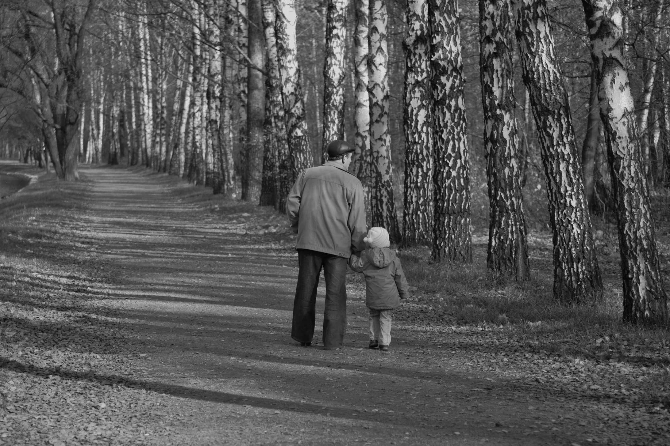Дедушка и внучка в лесу. Дети в парке. Дедушка с внучкой в парке. Бабушка с внучкой в парке. Бабушка с внучкой гуляют в парке.