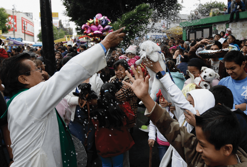 A crowd holds small dogs aloft as a priest flings droplets of holy water over the crowd