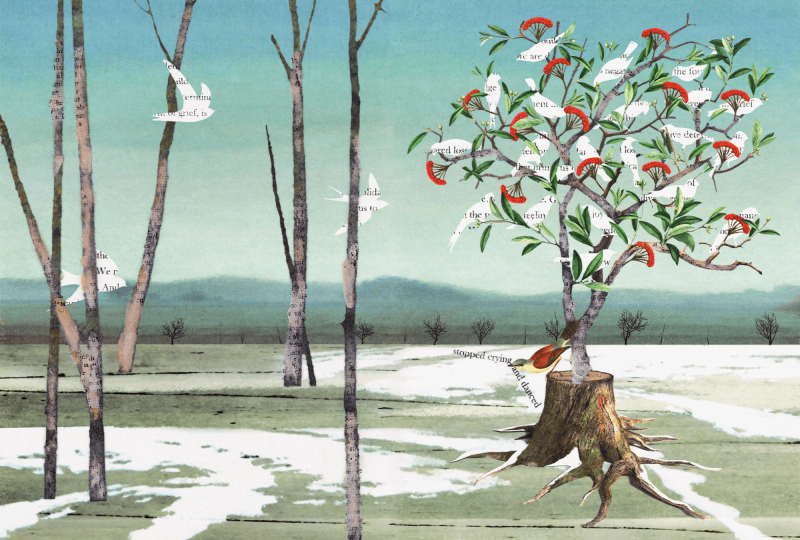 Illustration of a winter forest with birds flying or resting in trees.