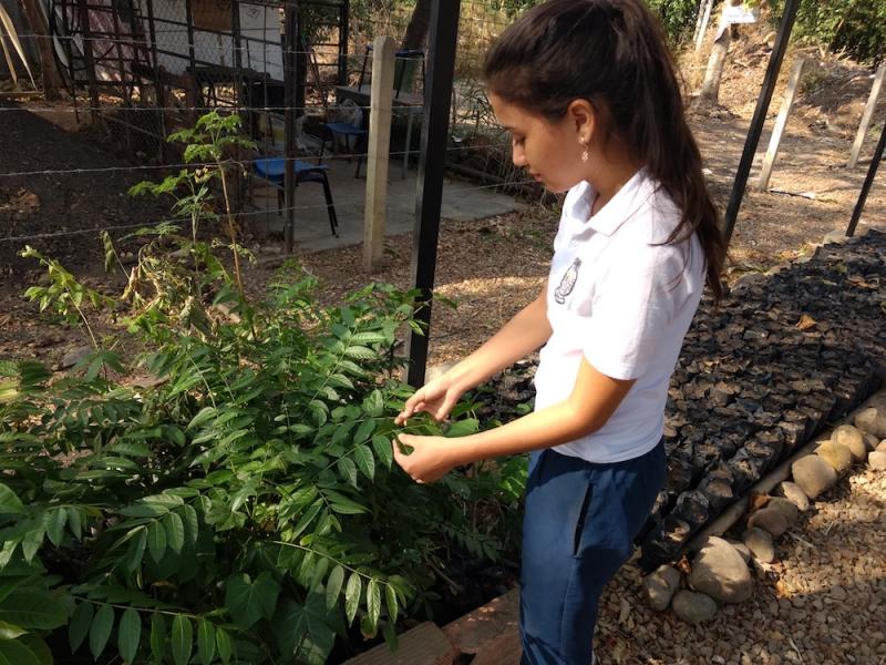 Girls Love Of Science Takes Root In Rural Colombia Sojourners