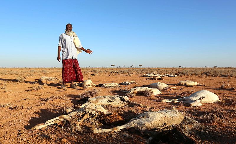 Kenyan Churches On the Front Lines of Climate Change Fight to Serve the ...