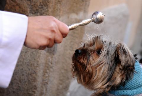 Father Juan Manuel Villar (L) blesses a dog. Photo by Jasper Juinen/Getty Images Photo by Jasper Juinen/Getty Images