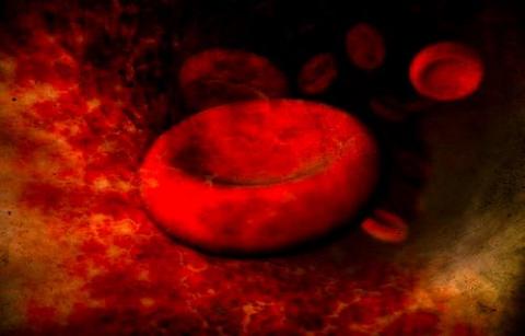 Red blood cells. Image via Wylio, http://bit.ly/ysvxWb. Red blood cells. Image via Wylio, http://bit.ly/ysvxWb.