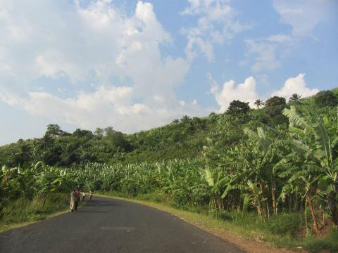 Roadway in Burundi. Photo by Janelle Tupper / Sojourners Roadway in Burundi. Photo by Janelle Tupper / Sojourners