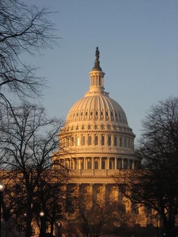 Capitol Dome, Photo courtesy of Mary Ann Reitano, via Wikimedia Commons Photo courtesy of Mary Ann Reitano, via Wikimedia Commons
