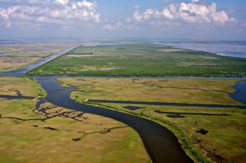 Louisiana loses a football field worth of wetlands every hour. Photo courtesy Gulf Restoration Network. Photo courtesy Gulf Restoration Network.