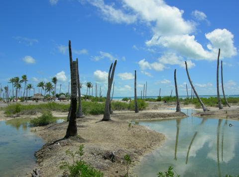 Coastline of Tarawa, Kiribati damaged by rising sea levels. By E.W.A. hong kong/Getty Images. By E.W.A. hong kong/Getty Images.