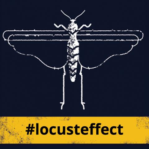 Via thelocusteffect.com Via thelocusteffect.com