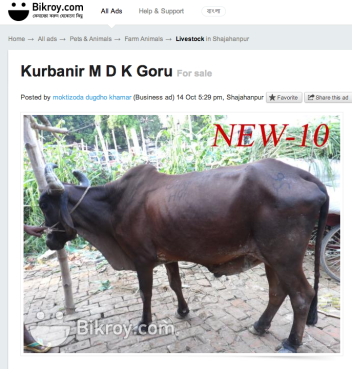 Screenshot from Bikroy.com. Photo via RNS.
