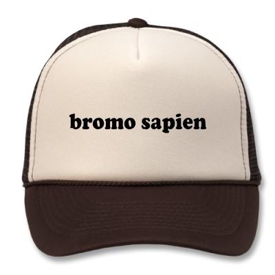 Bromosapien hat. Image via Zazzle.com. Bromosapien hat. Image via Zazzle.com.