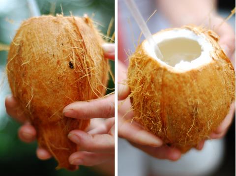 Coconut vessels. Images via Wylio. Coconut vessels. Images via Wylio.