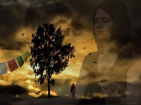 "Tree of Prayer" image via Wylio http://www.wylio.com/credits/Flickr/4404284129 "Tree of Prayer" image via Wylio http://www.wylio.com/credits/Flickr/4404284129