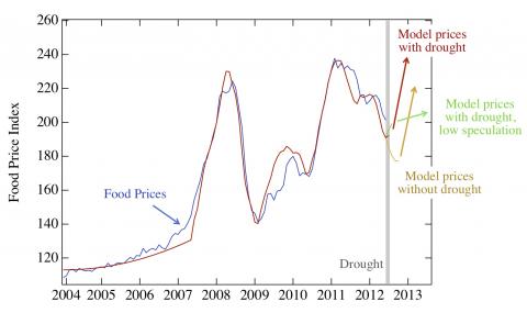 Chart showing predicted skyrocketing food prices, from New England Complex Systems Institute. See the chart at http://necsi.edu/research/social/foodprices/updatejuly2012/