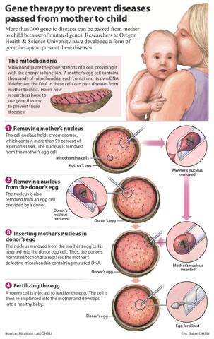 Graphic courtesy Oregon Health and Science University via RNS. Graphic courtesy Oregon Health and Science University via RNS.
