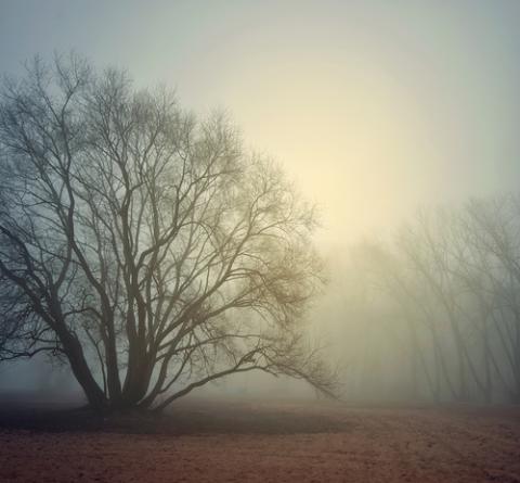 Fog and light photo, lussiya / Shutterstock.com Fog and light photo, lussiya / Shutterstock.com