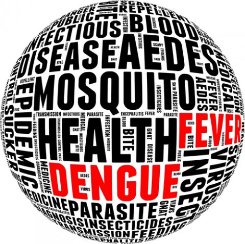 Dengue fever info-text. Via mrfiza / Shutterstock Dengue fever info-text. Via mrfiza / Shutterstock