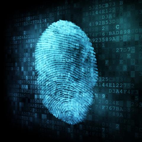 Unique fingerprint surrounded by data. Photo courtesy Maksim Kabakou/shutterstock.com