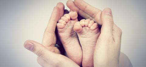 Photo: © vlavetal / Shutterstock.com Photo: © vlavetal / Shutterstock.com