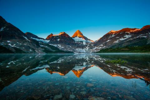 Reflection of mount Assiniboine on Magog lake at sunrise, Alberta, Canada.