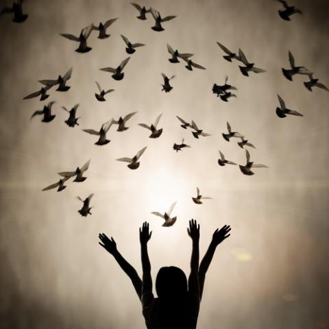Freedom concept. Photo courtesy Pan Xunbin/shutterstock.com.