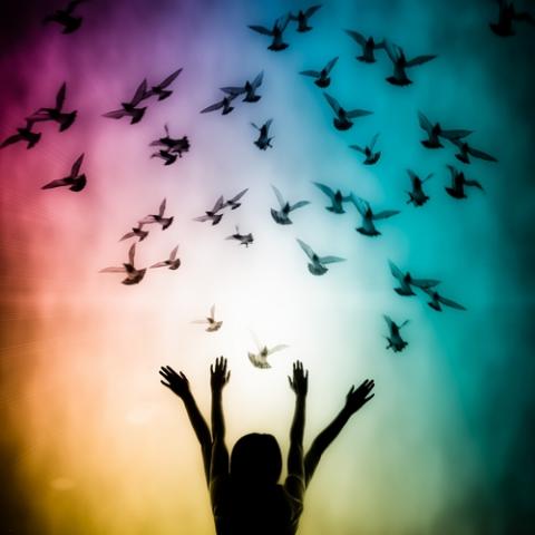 Freedom and peace abstract concept background. Photo courtesy Pan Xunbin/Shutterstock.com. Photo courtesy Pan Xunbin/Shutterstock.com.