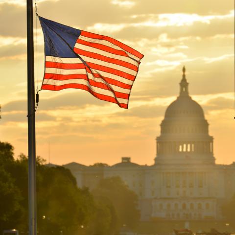 Some advocacy groups focus on Congressional action. Orhan Cam/Shutterstock Orhan Cam/Shutterstock