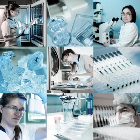 Scientists in a lab, anyaivanova / Shutterstock.com Scientists in a lab, anyaivanova / Shutterstock.com