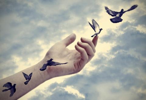 Bird tattoos come to life, Marianne D / Shutterstock.com Bird tattoos come to life, Marianne D / Shutterstock.com