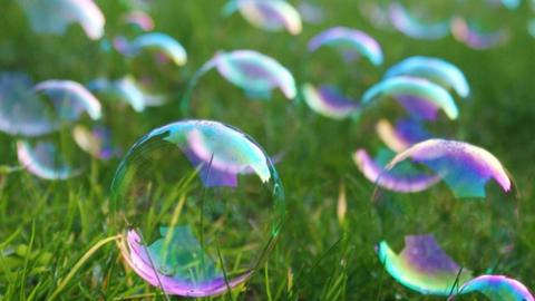 Bubbles, Sarahbean / Shutterstock.com Bubbles, Sarahbean / Shutterstock.com