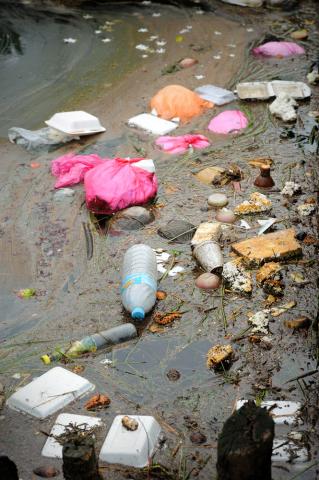 Close up of plastic and polystyrene fast food packaging in a river. Via tristan tan / Shutterstock Via tristan tan / Shutterstock
