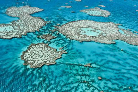 RIP Great Barrier Reef RIP Great Barrier Reef