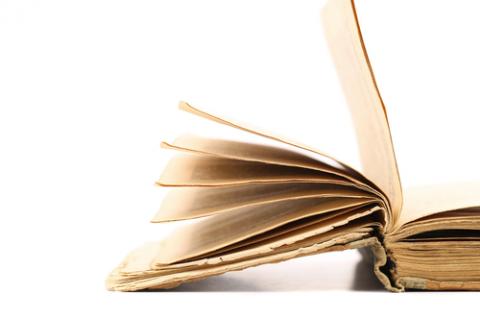 An open Bible. Photo courtesy Oleg Begunenco/shutterstock.com. An open Bible. Photo courtesy Oleg Begunenco/shutterstock.com.
