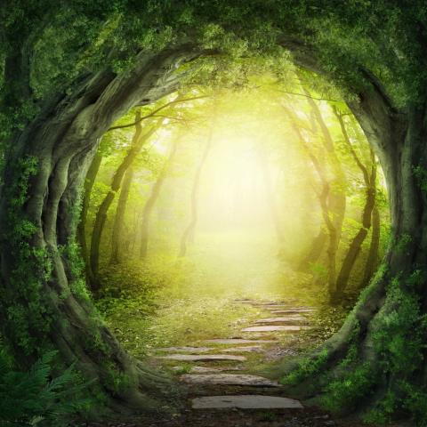 The path ahead. Photo by Elena Schweitzer / Via Shutterstock