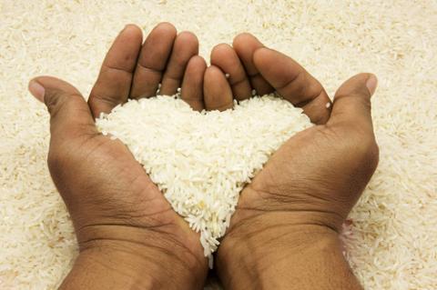 Hands holding rice, imanhakim / Shutterstock.com Hands holding rice, imanhakim / Shutterstock.com