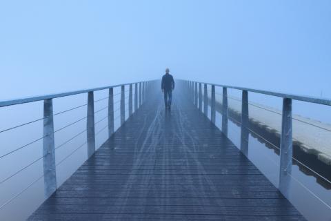 Image via Sander van der Werf/shutterstock.com Image via Sander van der Werf/shutterstock.com