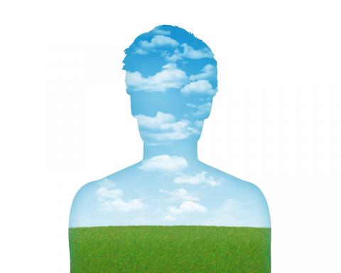 whiteisthecolor / Shutterstock.com whiteisthecolor / Shutterstock.com