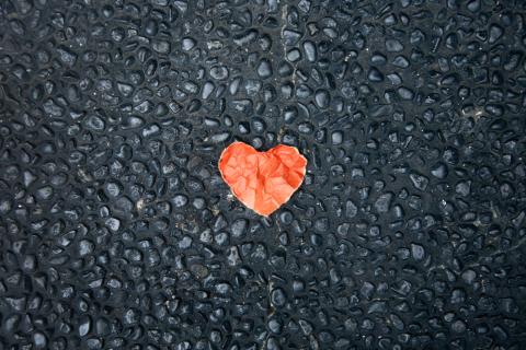 Beloved. Image courtesy Anton Watman/shutterstock.com Beloved. Image courtesy Anton Watman/shutterstock.com