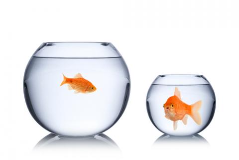 Envy concept, stockphoto-graf / Shutterstock.com Envy concept, stockphoto-graf / Shutterstock.com