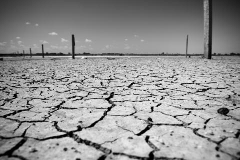 Cracked earth, Microstock Man / Shutterstock.com Cracked earth, Microstock Man / Shutterstock.com
