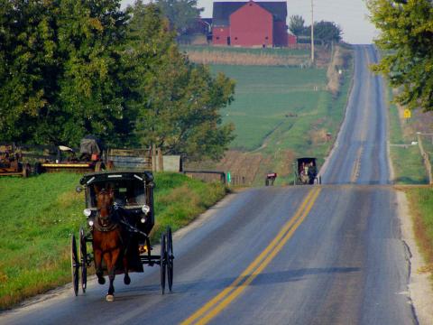 Amish buggies, Weldon Schloneger/Shutterstock.com Amish buggies, Weldon Schloneger/Shutterstock.com